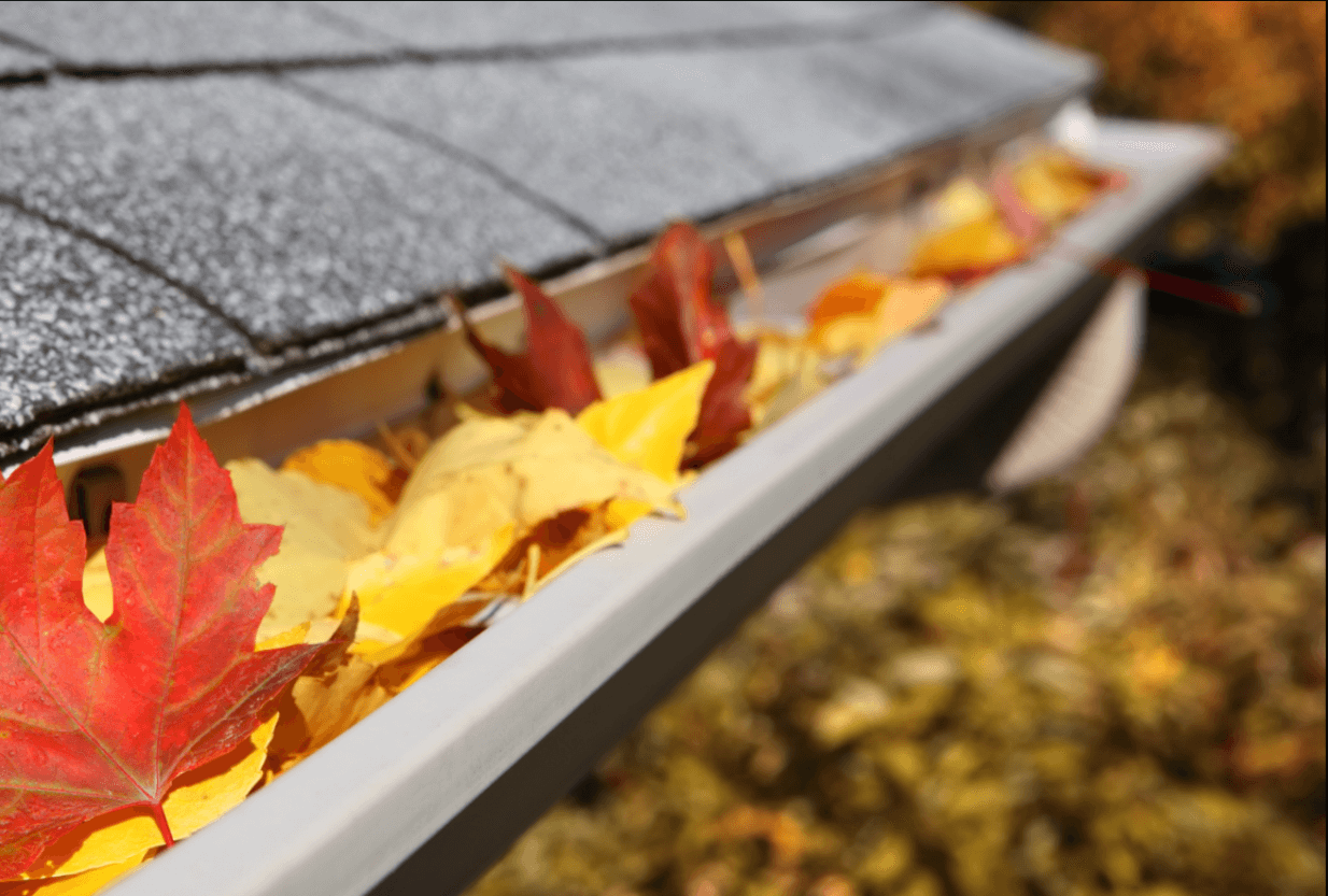 Leaves in gutter