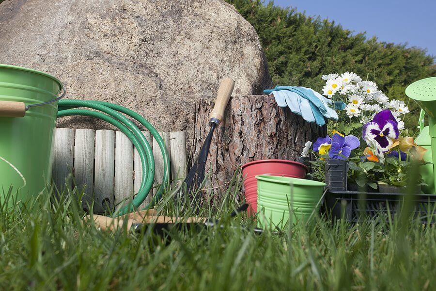 Garden tools on the grass in yard